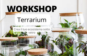 Workshop Terrarium 