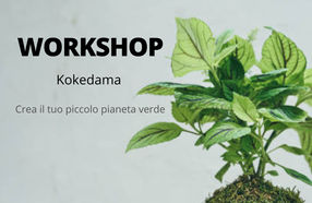 Workshop Kokedama 